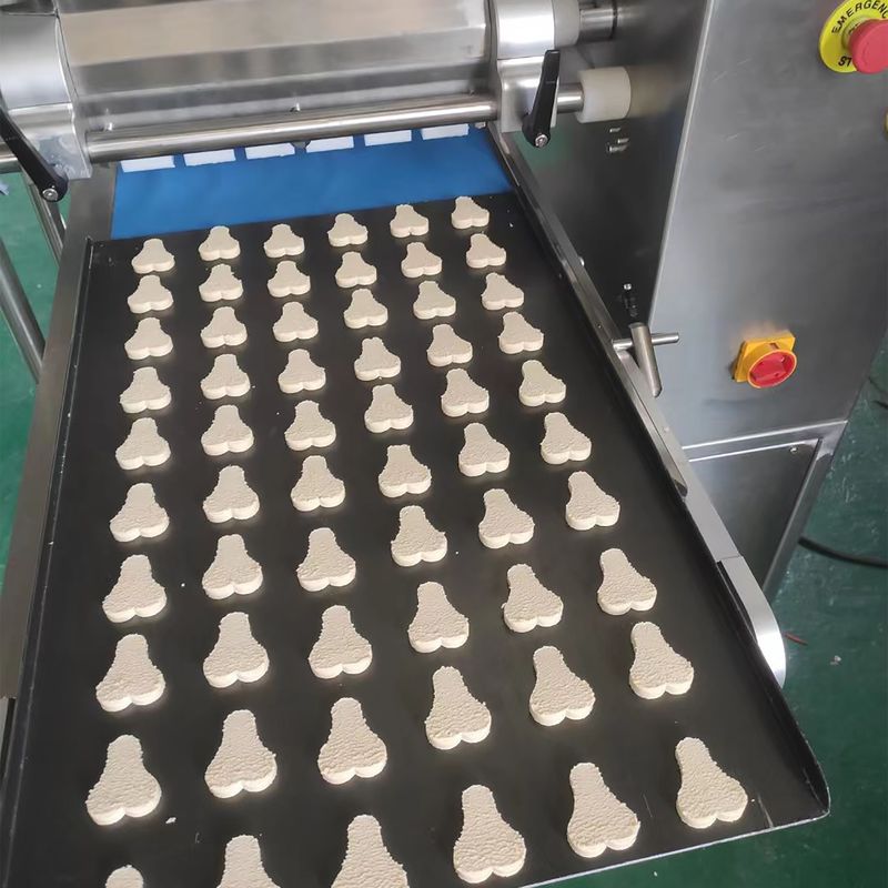 I produttori producono vendite dirette di 304 Macchine automatiche per biscotti Taglio del filo Macchine per biscotti Snack Chips Macchine attrezzature